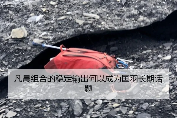 凡晨组合的稳定输出何以成为国羽长期话题